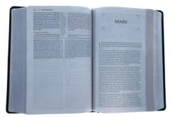NIV Grace And Truth Study Bible, European Bonded Leather 10 NIV Grace And Truth Study Bible, European Bonded Leather -Book Store 210 0309 4