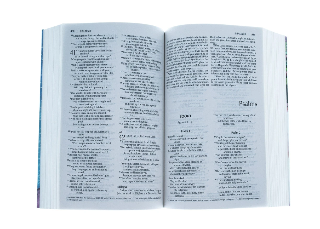 NIV Children’s Holy Bible-Softcover 2 NIV Children’s Holy Bible-Softcover - Image 2