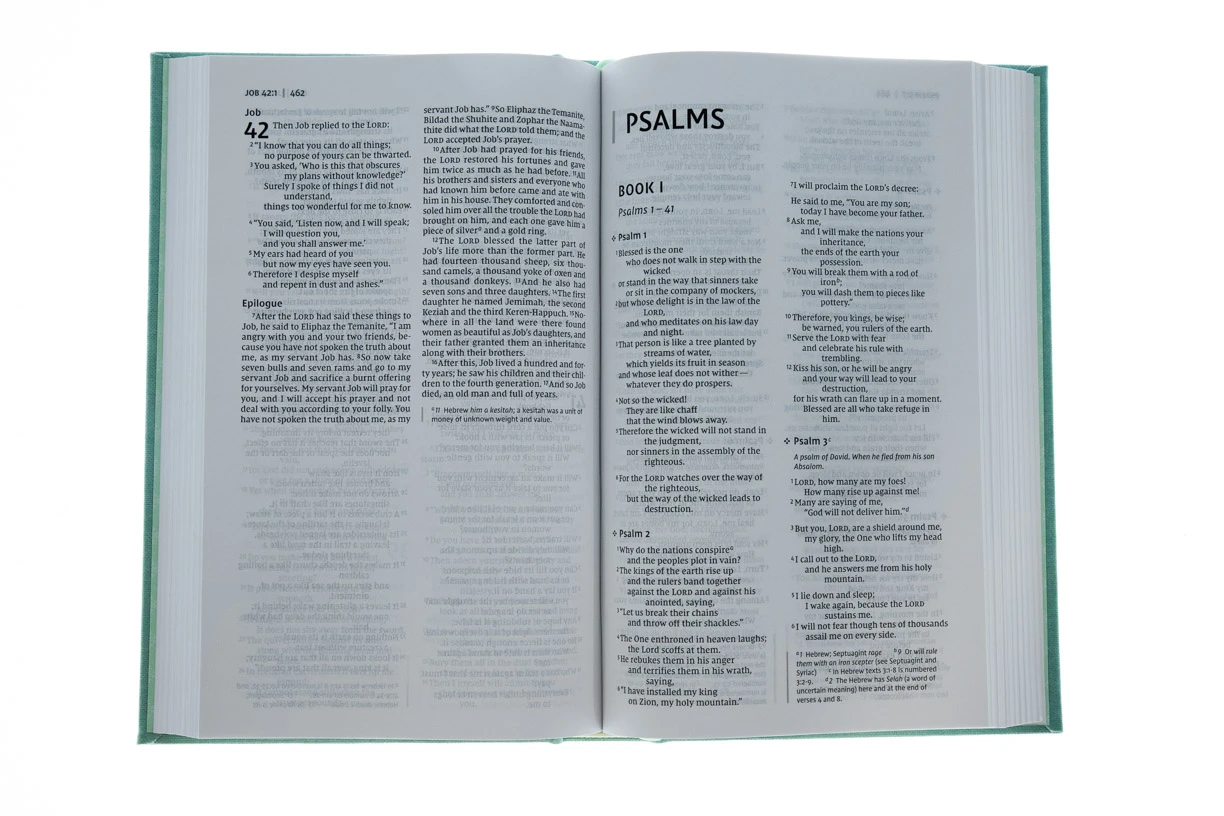 NIV, Bible For Teens, Thinline Edition, Cloth Over Board, Floral 3 NIV, Bible For Teens, Thinline Edition, Cloth Over Board, Floral - Image 3