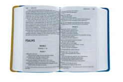 NIV Giant-Print Compact Bible For Boys, Leather-look, Blue/Yellow -Book Store 210 0577 3 2