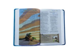 NIV Adventure Bible, Imitation Leather -Book Store 210 0608 3