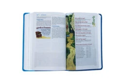 NIV Adventure Bible, Imitation Leather -Book Store 210 0608 5