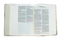NIV Artisan Collection Bible Multi-Color/Cream -Book Store 210 0609 4