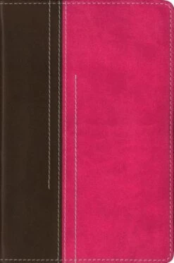NIV Compact Bible Chocolate / Hot Pink