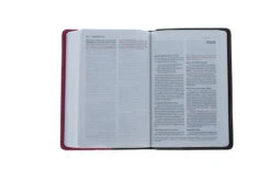 NIV Compact Bible Chocolate / Hot Pink -Book Store 210 0613 3