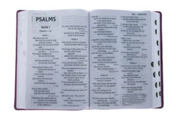 NIV Super Giant Print Reference Bible, Leathersoft, Pink 9 NIV Super Giant Print Reference Bible, Leathersoft, Pink -Book Store 210 0615 3