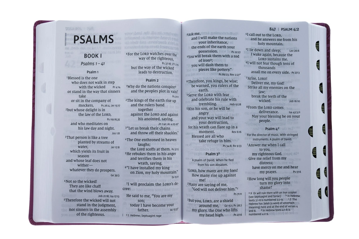 NIV Super Giant Print Reference Bible, Leathersoft, Pink 4 NIV Super Giant Print Reference Bible, Leathersoft, Pink - Image 4