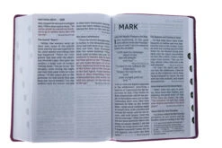 NIV Super Giant Print Reference Bible, Leathersoft, Pink 10 NIV Super Giant Print Reference Bible, Leathersoft, Pink -Book Store 210 0615 4