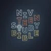 NIV Teen Study Bible, Hardcover, Navy