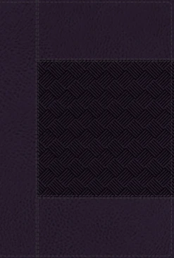 NIV Wide Margin Bible, Leathersoft, Navy