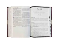 NIV Life Application Study Bible -Book Store 210 0644 2 scaled 1