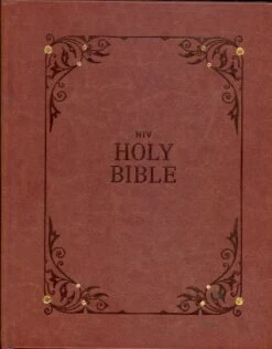 NIV Our Family Story Bible