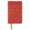 NIV Men’s Devotional Bible, Leathersoft Brown