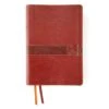 NIV Student Bible, Leathersoft, Brown