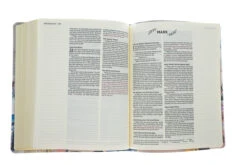 NIV Artisan Collection Bible -Book Store 210 1010 4 3