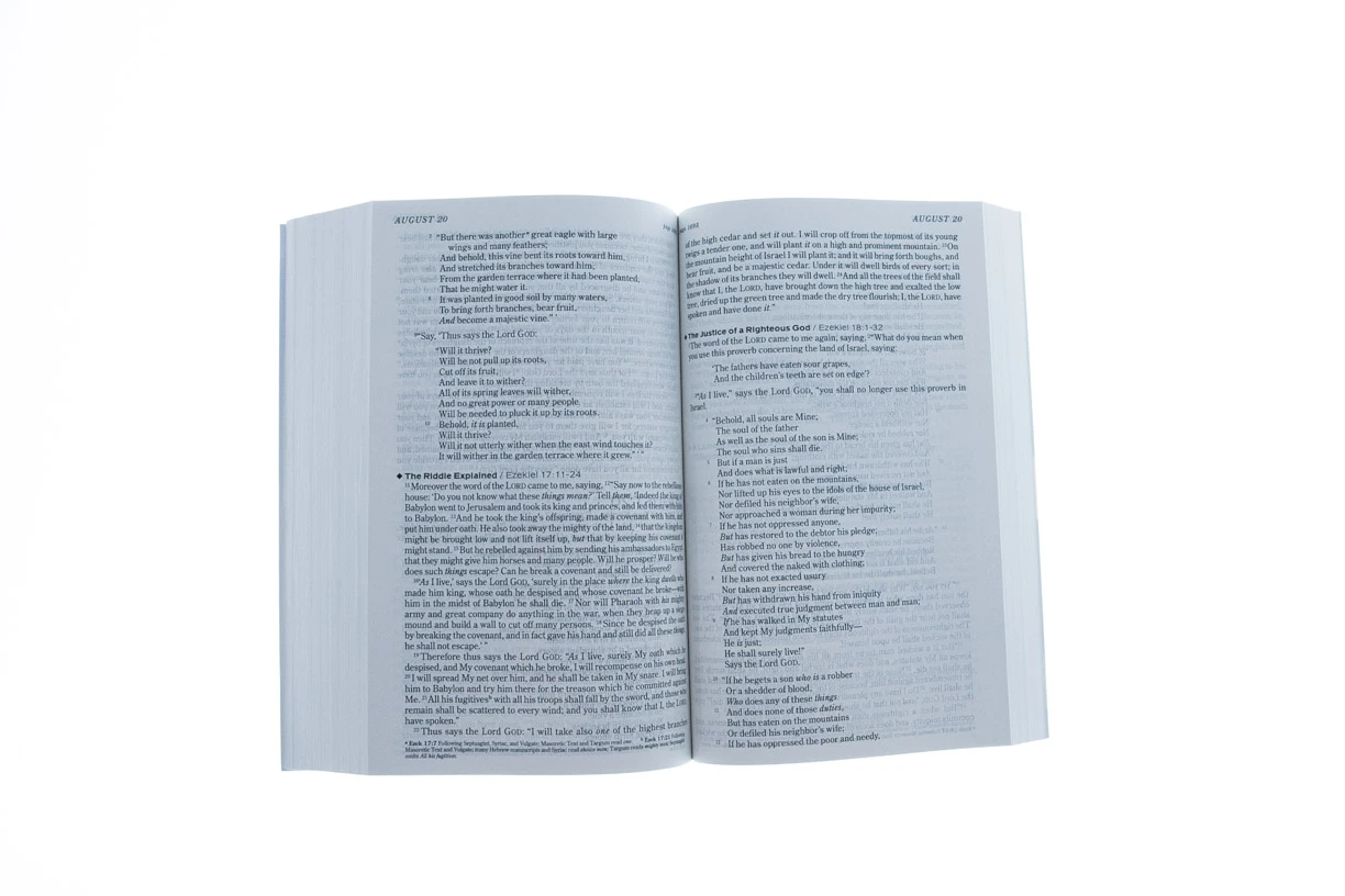 NKJV The One Year Chronological Bible Paperback 4 NKJV The One Year Chronological Bible Paperback - Image 4