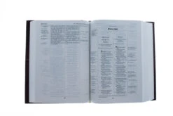 NKJV, Thompson Chain-Reference Bible, Hardcover, Red Letter -Book Store 211 0211 2
