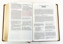 NKJV Foundation Study Bible, Large Print – Brown -Book Store 211 0239 2