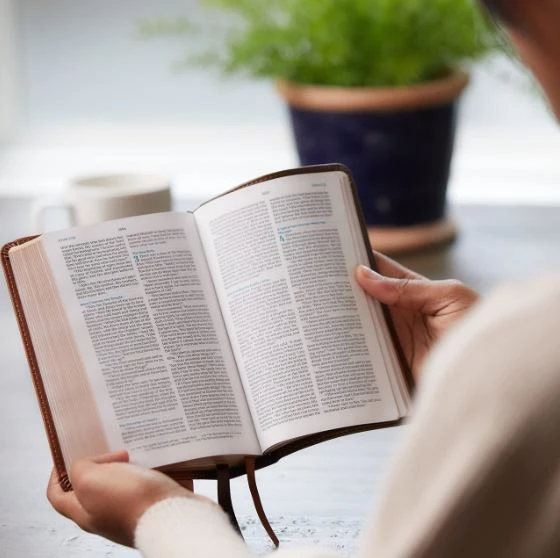 NKJV Compact Bible, MacLaren Series, Leathersoft, Brown, Comfort Print 2 NKJV Compact Bible, MacLaren Series, Leathersoft, Brown, Comfort Print - Image 2