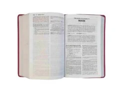 NKJV – Foundation Study Bible Coral Leathersoft -Book Store 211 0249 2 scaled 1