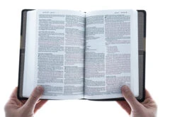 NLT2 Premium Gift Bible-Tan/Brown TuTone -Book Store 212 0003 4 1