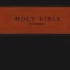 NLT Giant Print Bible TuTone Red Letter, LeatherLike, Brown/Tan