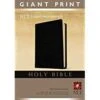 NLT2 Giant Print Bible-Black Imitation Leather