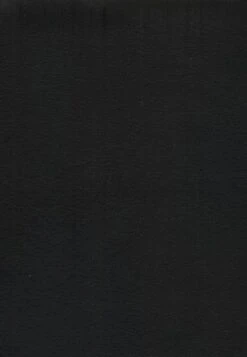 NLT Bible Giant Print Bonded Leather Indexed