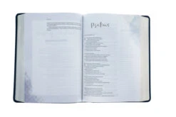 NLT Dayspring Hope & Encouragement Bible-Navy Blue LeatherLike -Book Store 212 0059 3