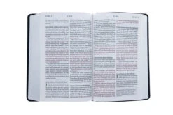 NLT Personal Size Giant Print Bible, Filament Enabled Edition -Red Letter, 10 NLT Personal Size Giant Print Bible, Filament Enabled Edition -Red Letter, -Book Store 212 0090 4