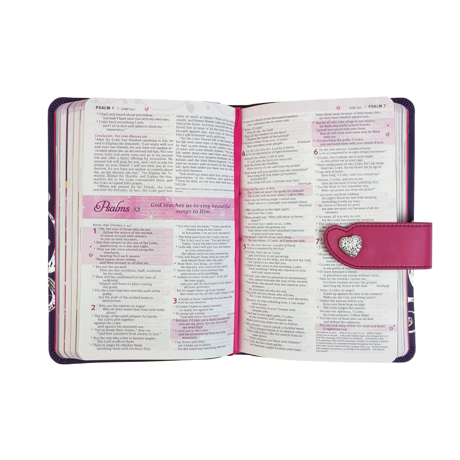 NLT2 My Beautiful Princess Bible-Purple Crown/Pink TuTone 3 NLT2 My Beautiful Princess Bible-Purple Crown/Pink TuTone - Image 3