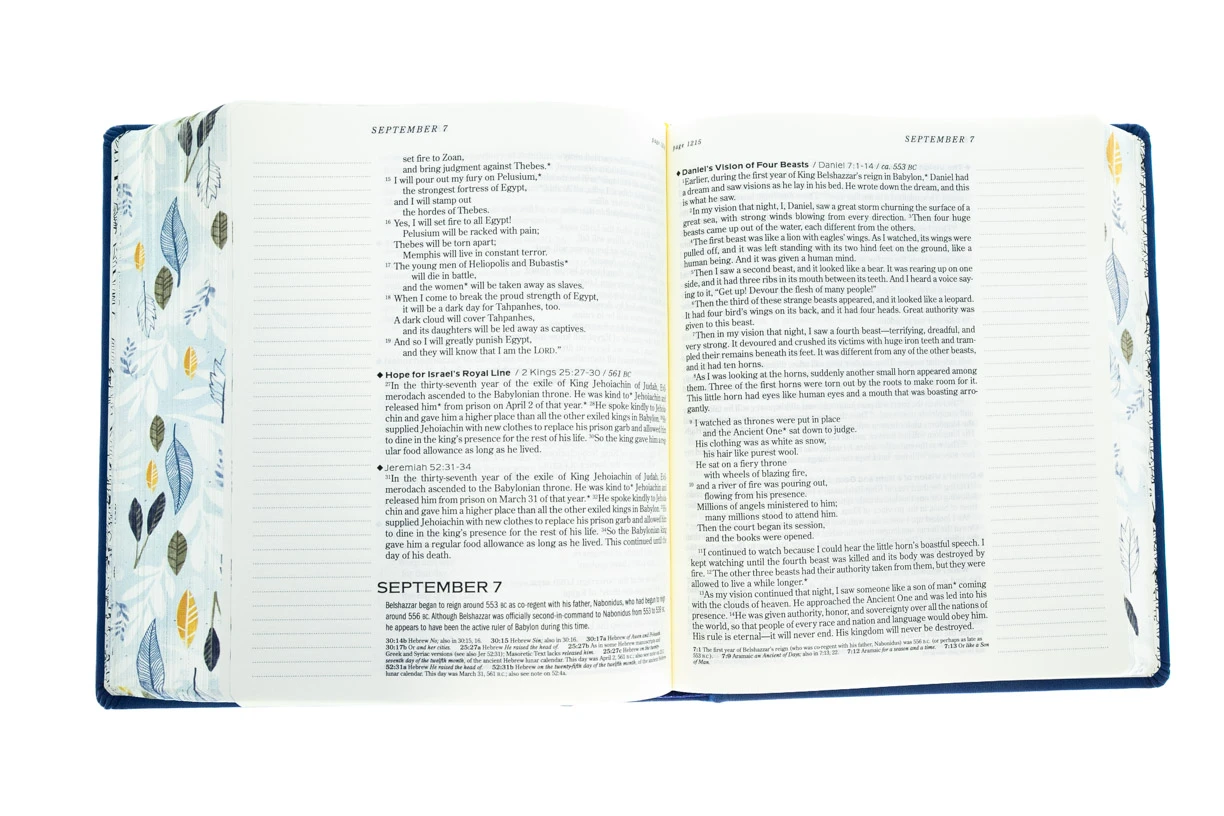 NLT2 One Year Chronological Bible Creative Expressions -Deluxe Blue Hardcover 4 NLT2 One Year Chronological Bible Creative Expressions -Deluxe Blue Hardcover - Image 4
