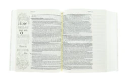 NLT2 One Year Chronological Bible Creative Expressions -Softcover -Book Store 212 0149 2