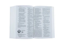 NLT One Year Bible -Book Store 212 0156 4
