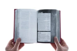 NLT Teen Life Application Study Bible, Compact Edition -Book Store 212 0182 3 1