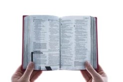 NLT Teen Life Application Study Bible, Compact Edition -Book Store 212 0182 4 1