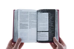 NLT Teen Life Application Study Bible, Compact Edition -Book Store 212 0182 5 1