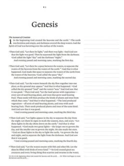 NLT Wide Margin Bible Brown – Filament Enabled -Book Store 212 0184 4