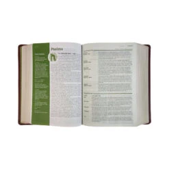 NLT Life Application Study Bible, Third Edition, Large Print Brown Leather -Book Store 212 0187 2 2