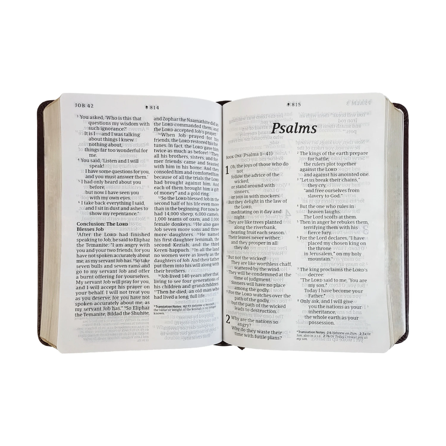 NLT Compact Giant Print Bible 3 NLT Compact Giant Print Bible - Image 3