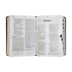 NLT Compact Giant Print Bible, -Book Store 212 0192 3