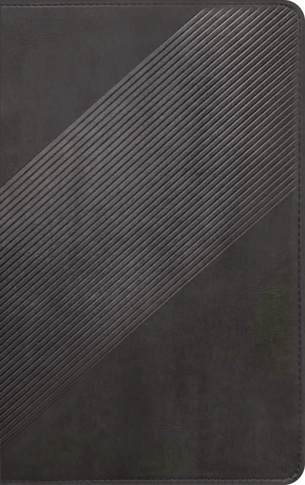 NLT Student Life Application Bible Charcoal Striped 2 NLT Student Life Application Bible Charcoal Striped - Image 2