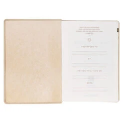 NLT Pearlescent Taupe Faux Leather Spiritual Growth Bible -Book Store 212 0207 3