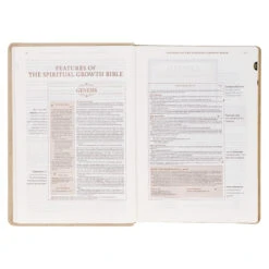 NLT Pearlescent Taupe Faux Leather Spiritual Growth Bible -Book Store 212 0207 4