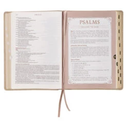 NLT Pearlescent Taupe Faux Leather Spiritual Growth Bible -Book Store 212 0207 5 1
