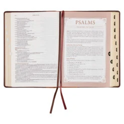 NLT Two-tone Espresso And Toffee Brown Faux Leather Spiritual Growth Bible -Book Store 212 0209 5 1
