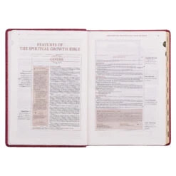 NLT Berry Faux Leather Spiritual Growth Bible -Book Store 212 0211 3