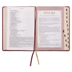 NLT Berry Faux Leather Spiritual Growth Bible -Book Store 212 0211 5
