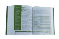 NLT Life Application Study Bible, Third Edition, Large Print -Red -Book Store 212 1150 5 1