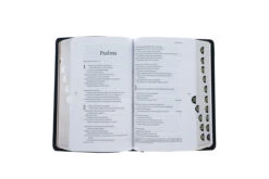 Filament Bible NLT -Leatherlike, Black, Indexed: The Print+digital Bible -Book Store 212 1151 3 1